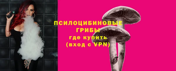 гашик Балабаново