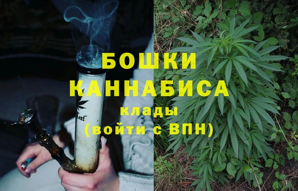 молекула духа Нефтекумск