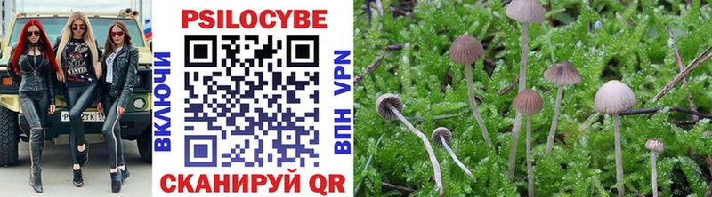 KRAKEN вход  Белгород  Галлюциногенные грибы MAGIC MUSHROOMS 