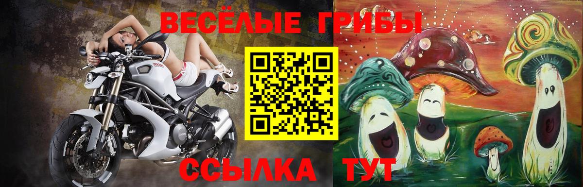 Галлюциногенные грибы MAGIC MUSHROOMS  Галлюциногенные грибы Psilocybe  Белгород 