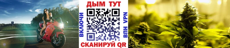 Конопля THC 21%  где найти наркотики  Белгород 